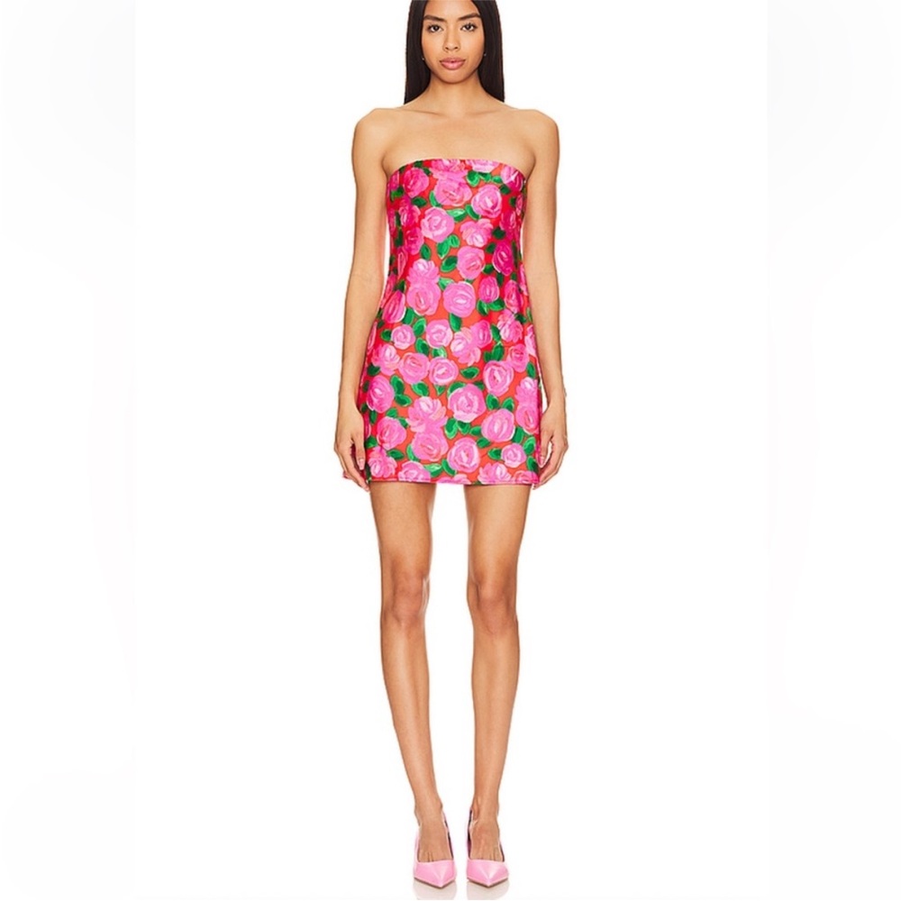 Show Me Your Mumu - Mini Dress Red with Pink Roses